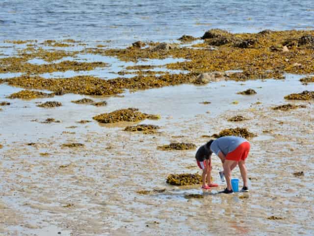 Les grandes marées 🌊
