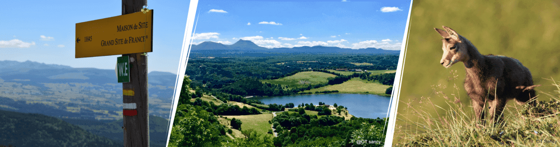 tour-image-1732274563-e744a8e4-84f8-469b-aa3c-cc8e13c2a3ec-cropped_image-1.png
